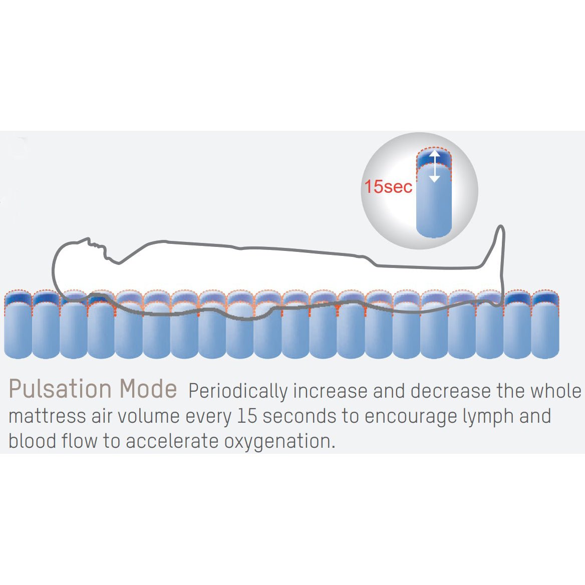 Serene Air with Stretch CoverSmall - 36"