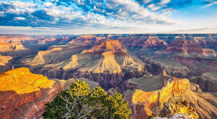 Breaking Barriers: Traveling with Limited Mobility with Medical Equipment - Harmony Home Medical Supply