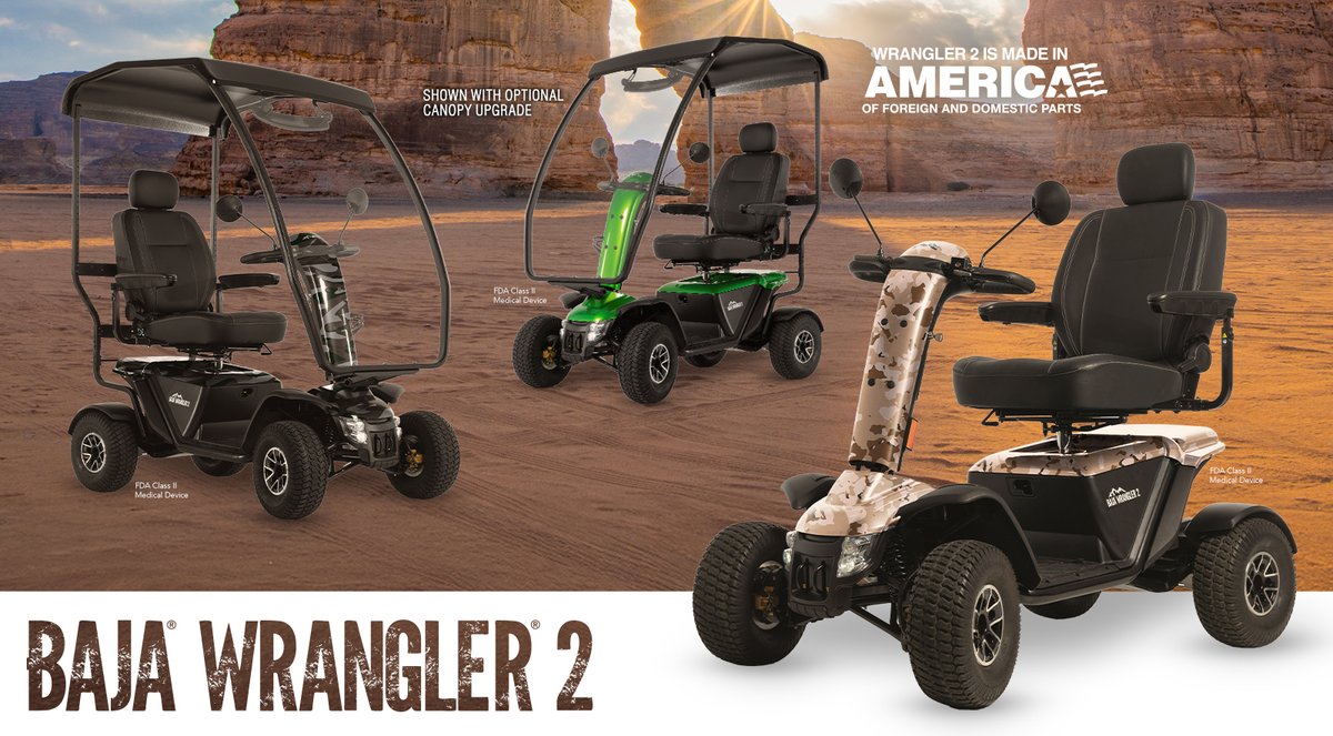 BAJA Wrangler 2 4-Wheel 100AH Scooter