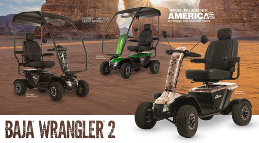 BAJA Wrangler 2 4-Wheel 100AH Scooter
