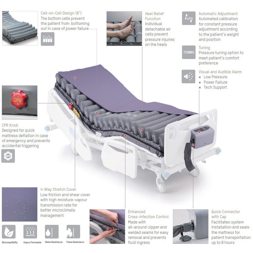 Domus Auto with Quilted Cover