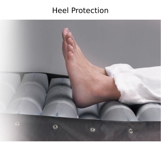 Domus Auto with Quilted Cover