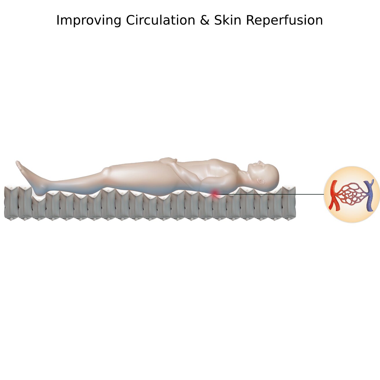 Pro-care Turn System with Stretch