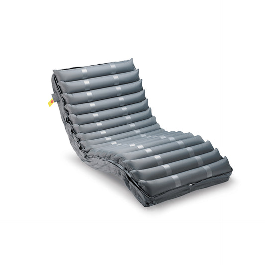 Domus 3 8 Inch with Quilted Cover