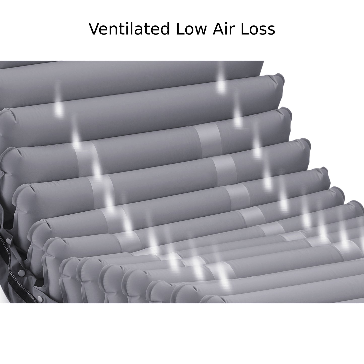 Domus 4 with Quilted Cover