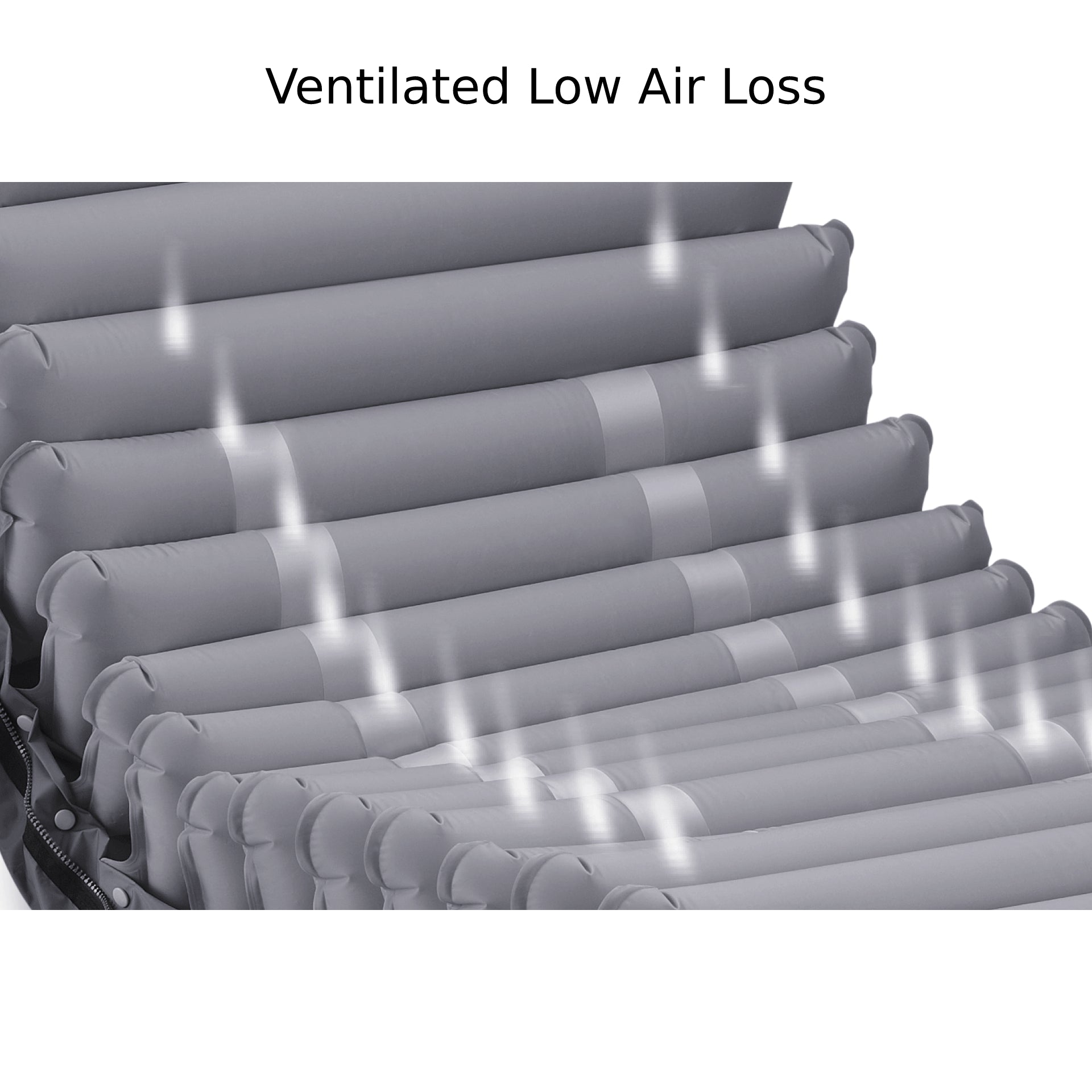 Domus 4 with Quilted Cover