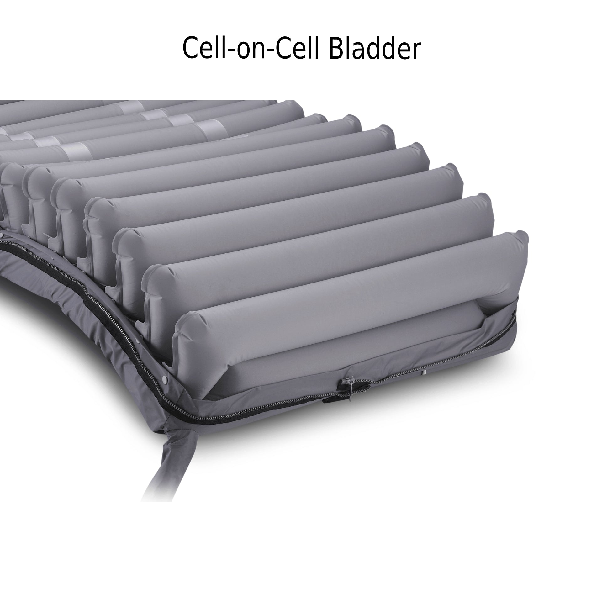 Domus 4 with Quilted Cover