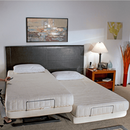 Supernal Hi-Low Bed - transfer master - harmony home medical