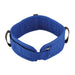 Gait BeltsBlueExtra Small - 36" x 4"Belt without Buckle