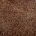 PR442 Med Rhea MediumAcorn